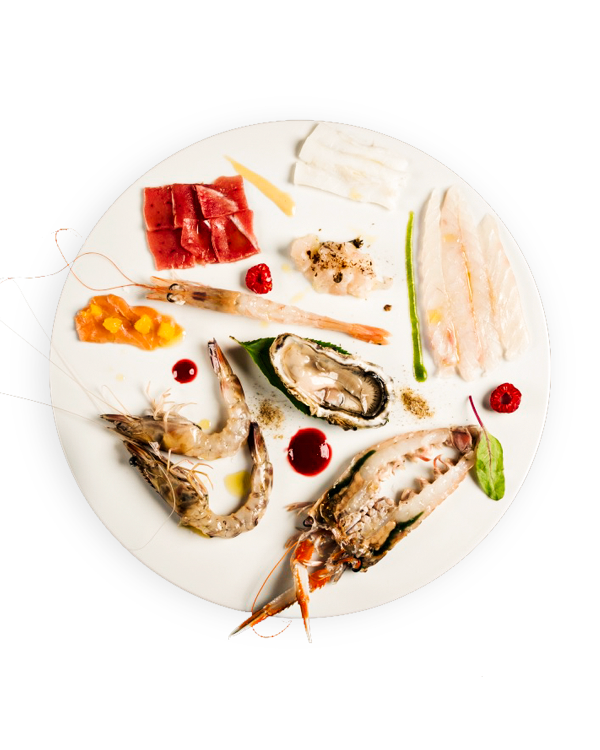 crudo-mare Crudo di mare