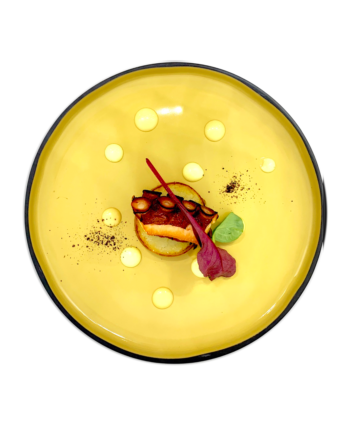 polpo-croccante Polpo Croccante